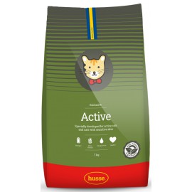 Husse (Хуссэ)-Exclusive Active/Outdoor (Эксклюзив Актив)-Специально разработан для активных кошек и кошек с чувствительной кожей